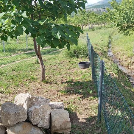 Stone House Vlasta Drniš المظهر الخارجي الصورة