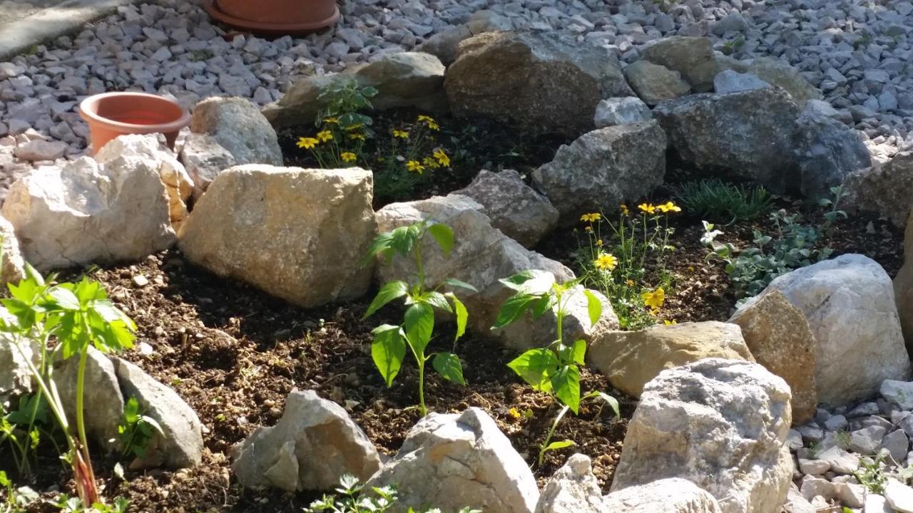 Stone House Vlasta Drniš المظهر الخارجي الصورة