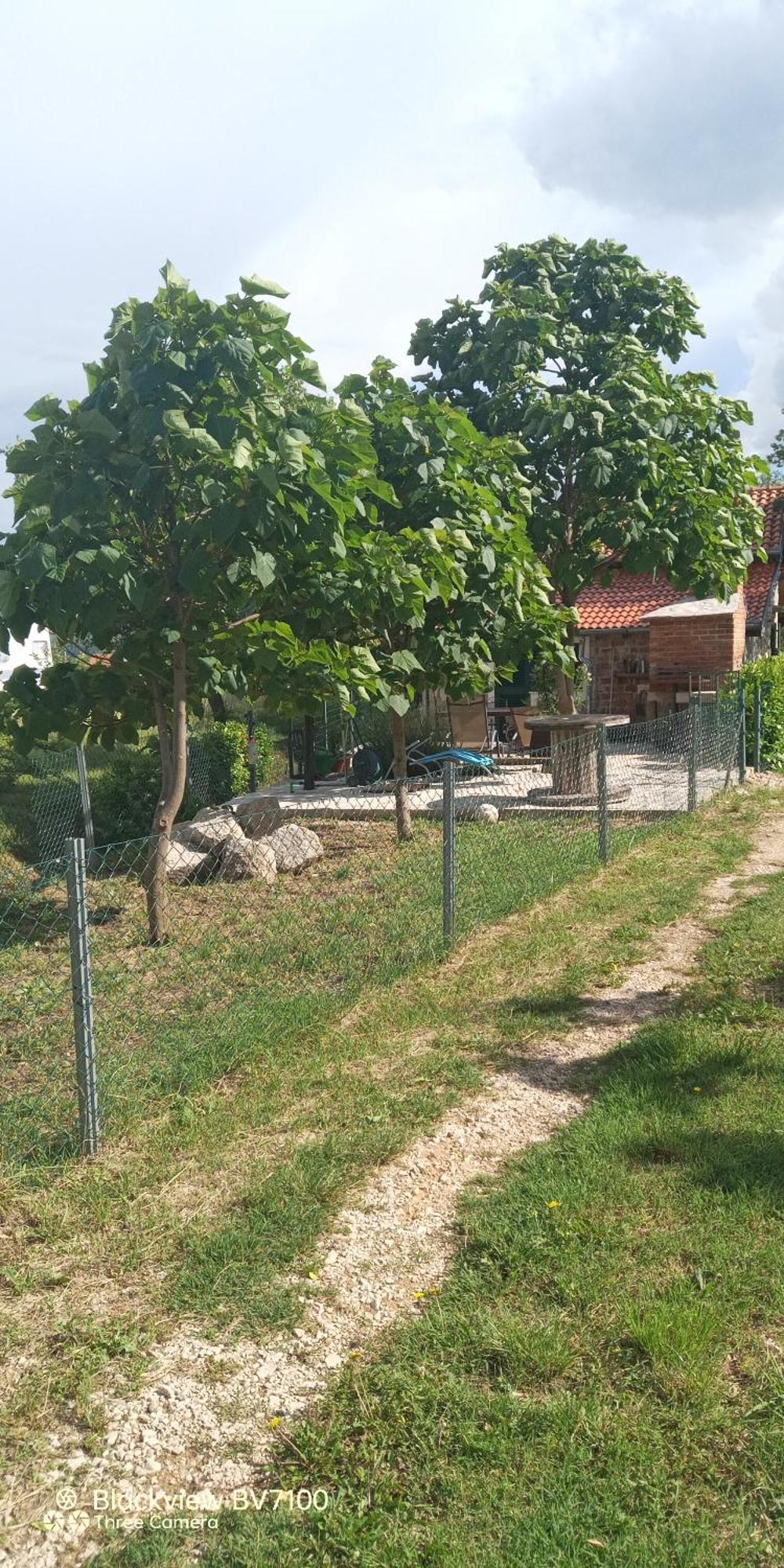 Stone House Vlasta Drniš المظهر الخارجي الصورة